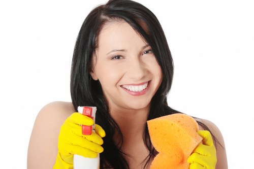 Related carpet cleaning options and quotation planning